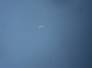 Venere vista di giorno dall'oculare