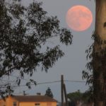 Il BACIO nella LUNA dal Parco Avventura Fregene